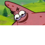 The rocity devs