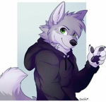 The furry group for furrys