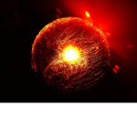 The Fiery Spirit