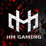 HM Gaming's Group