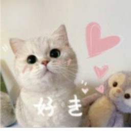 ✦