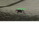MemezPeepz