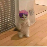 um robUx-