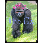 The G's Home