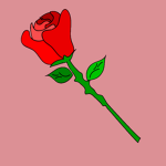 Rose Airlines