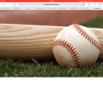 Baseball Official Group!