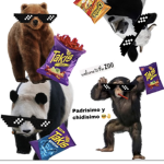 Mono vaca oso Panda