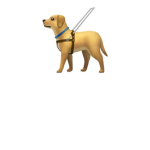 Service/emotional support dogs