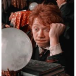 Harry Potter Fan Hub!