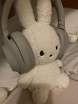 LadiebugAnnas
