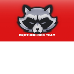 BrotherHoodTeam