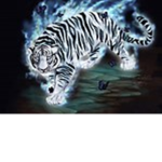 Tiger Magic School [TMS]