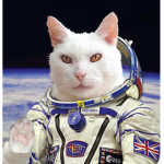 Meowism!
