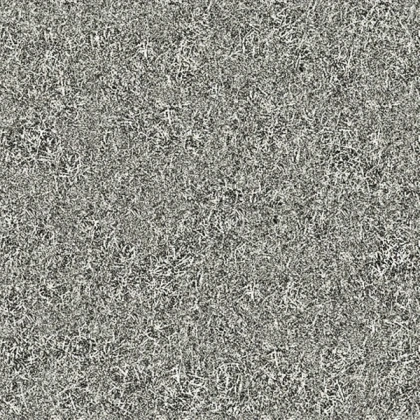 Old Grass Texture NoFilter