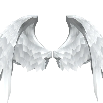 Angel Wings NoFilter