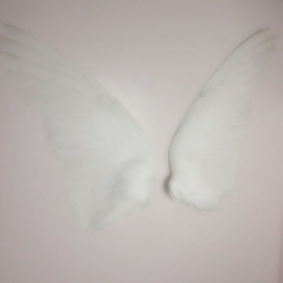 ♡