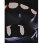 The void/swarm