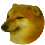 Doge for Life =0