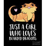 bearded dragon fansss