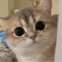 。°˖ ʚ ♡ ɞ 。°