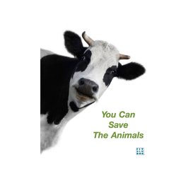 Save The Cow OBBY
