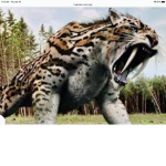 Sabertooth tigers!