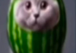 The Cat Returns