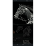 Horse power ridder