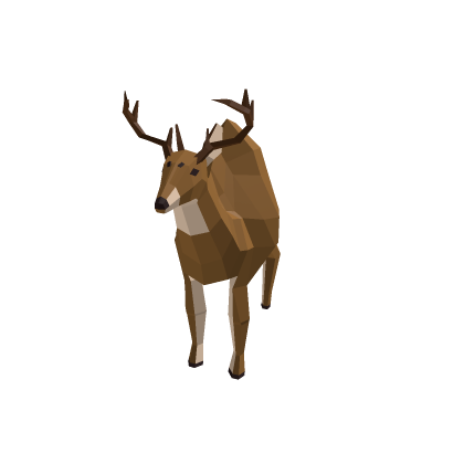 round deer failed