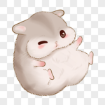 Chuby hamster