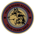 Vallis Guard Academy