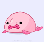 blobfish family :D