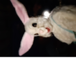 Death Rabbits