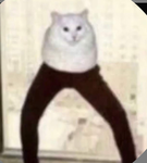 running from the government