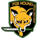 fox hound ground squadron