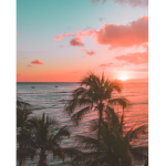 Sunset_Tropical!