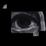 -Void Burg-