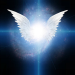 Angelic Clothing Co.