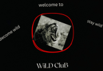 X WILD TEAM