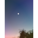 Pandacookie_12345