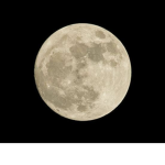 Nietos de la awuela