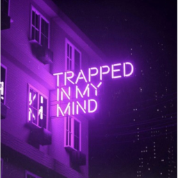 ✧