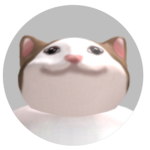 Pop kitty nation