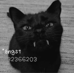 *angst