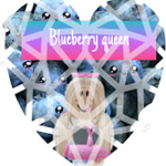 The Blueberry Fan Club!
