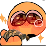 Dogeis nice and cool