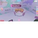 sunetlover