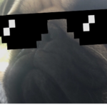 Pugz_YT