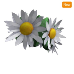 Flower Head Group!