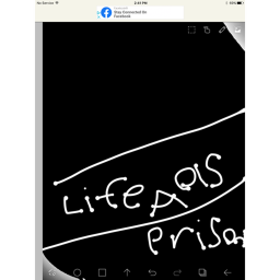 life as a prisoner